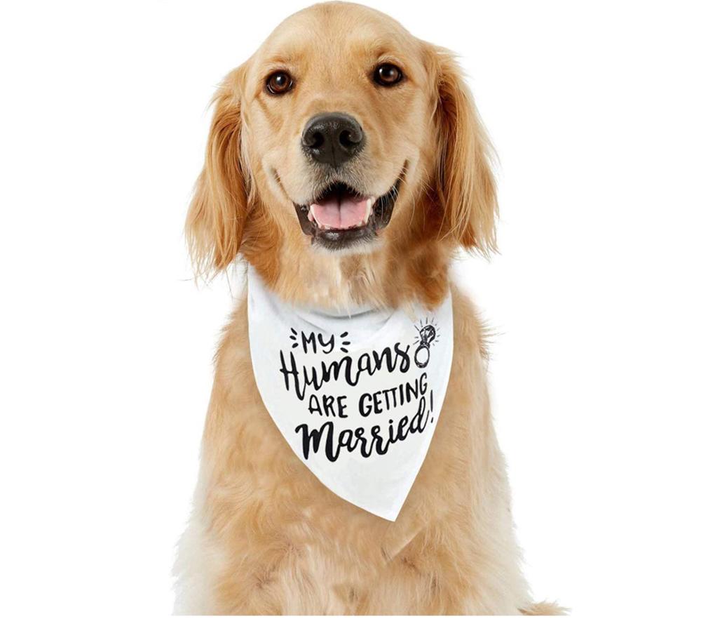 My Humans are Getting Married Dog Bandana Pet Scarf Wedding Engagement Announcement bridal shower decoration Photo shoot gift